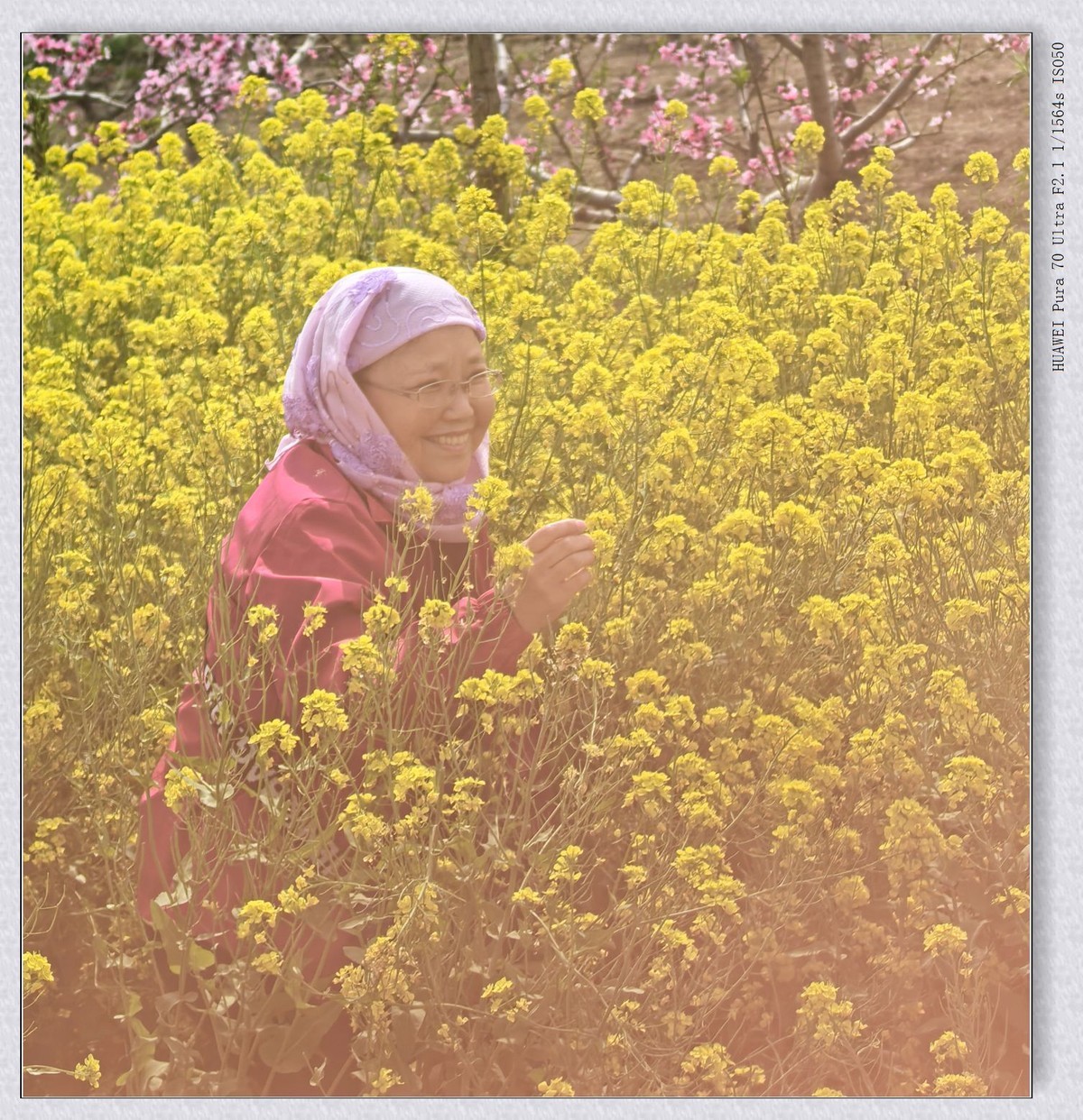 一群老太太游春【乙巳年-140】