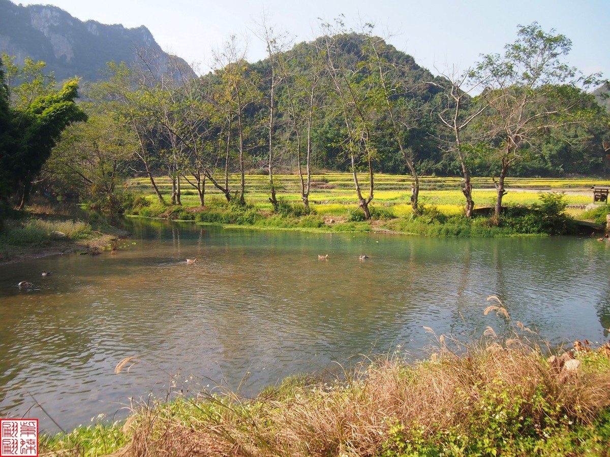 2023.12.22坝美随拍（19）