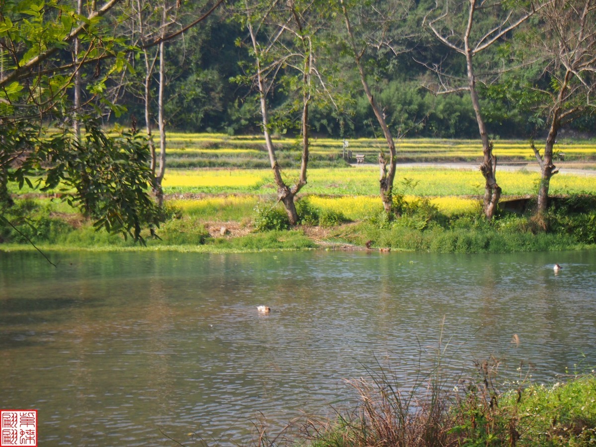 2023.12.22坝美随拍（19）