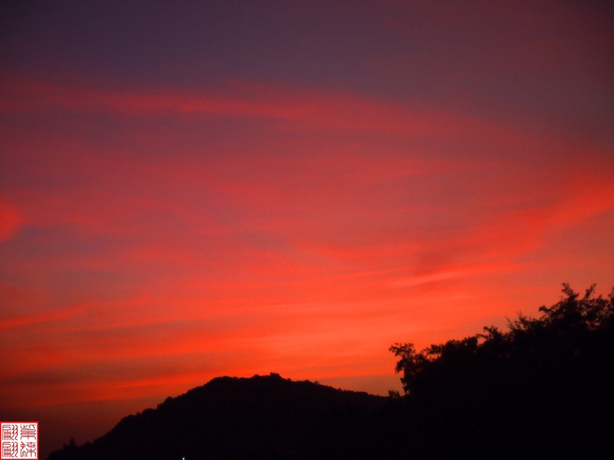 2023.11.19海南旅游随拍（25）