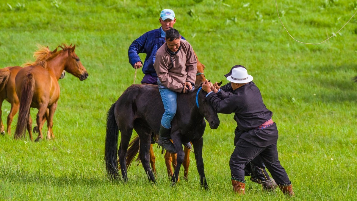 21.6 夏日的草原（十九）------硬汉骑生马