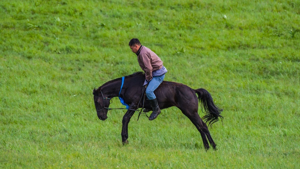 21.6 夏日的草原（十九）------硬汉骑生马