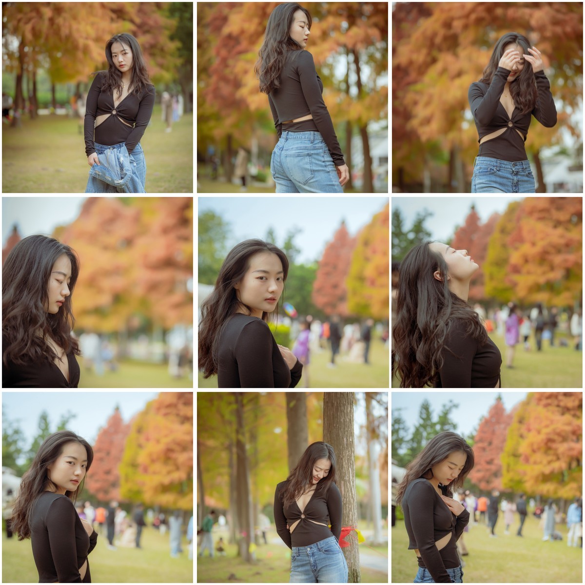 厦门南湖公园落羽杉红了