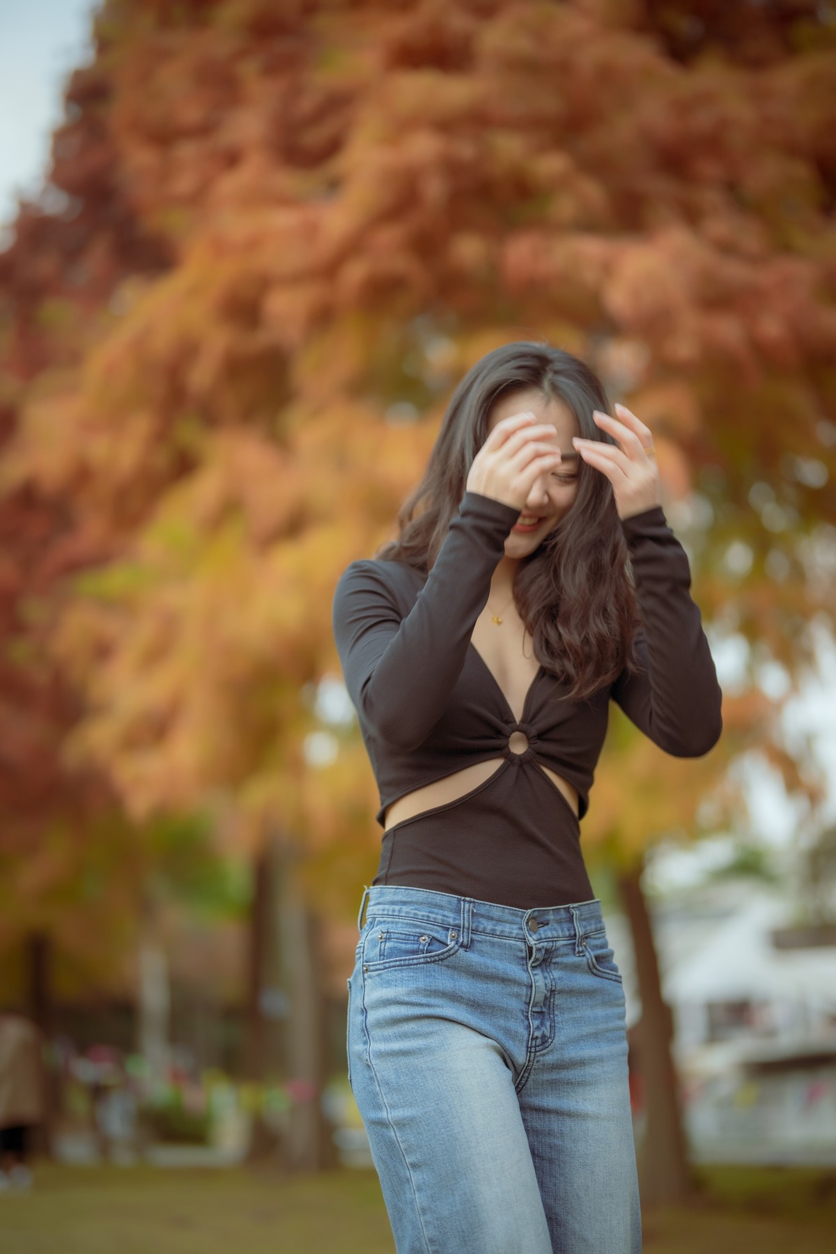 厦门南湖公园落羽杉红了