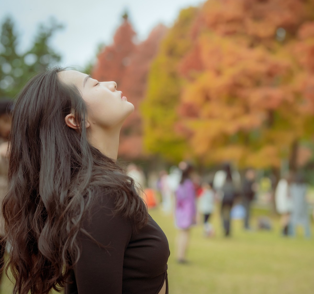 厦门南湖公园落羽杉红了