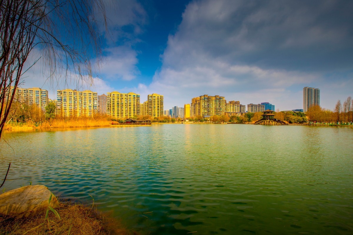 洋湖湿地风景