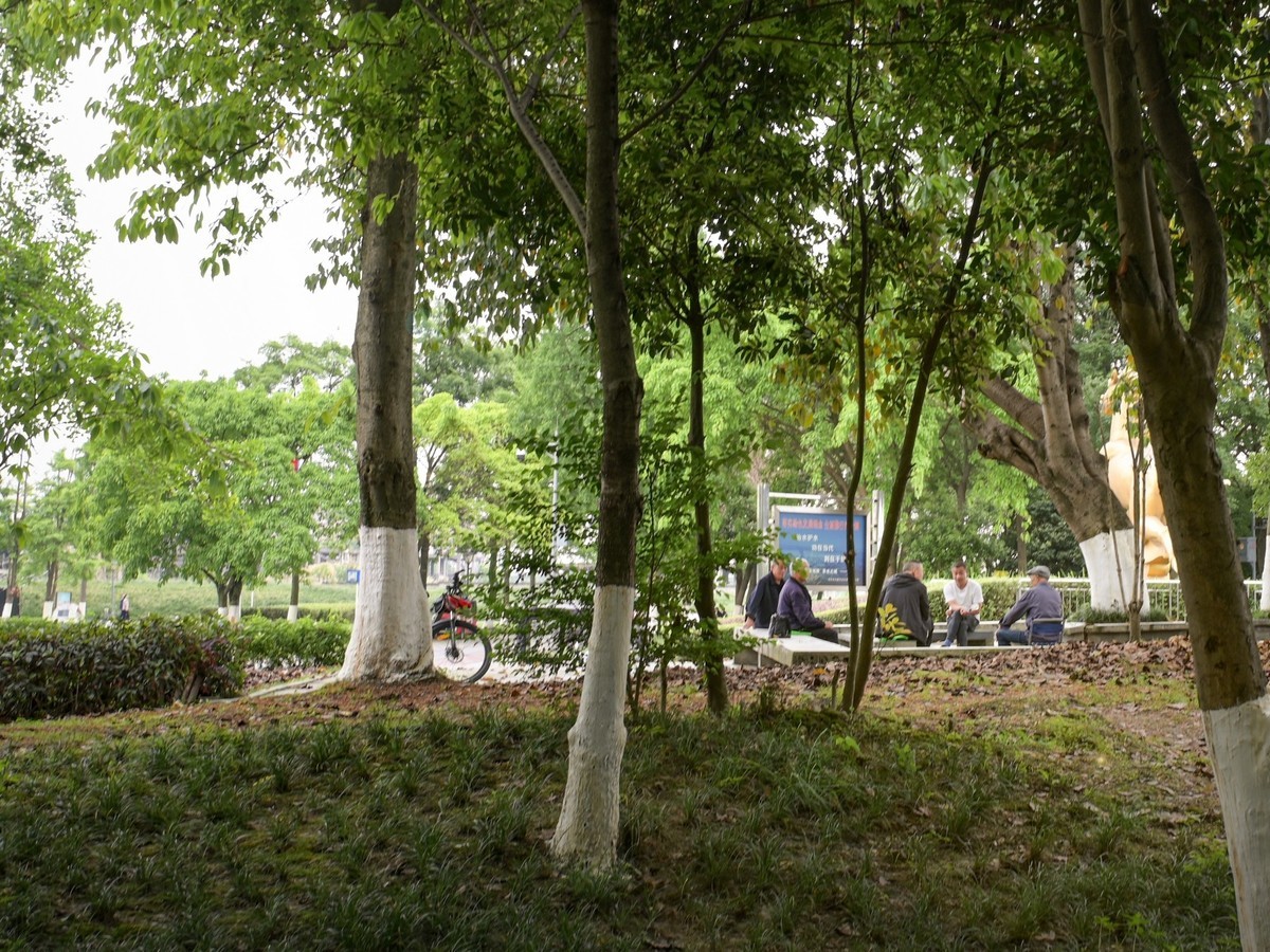 闲来无事拍几张