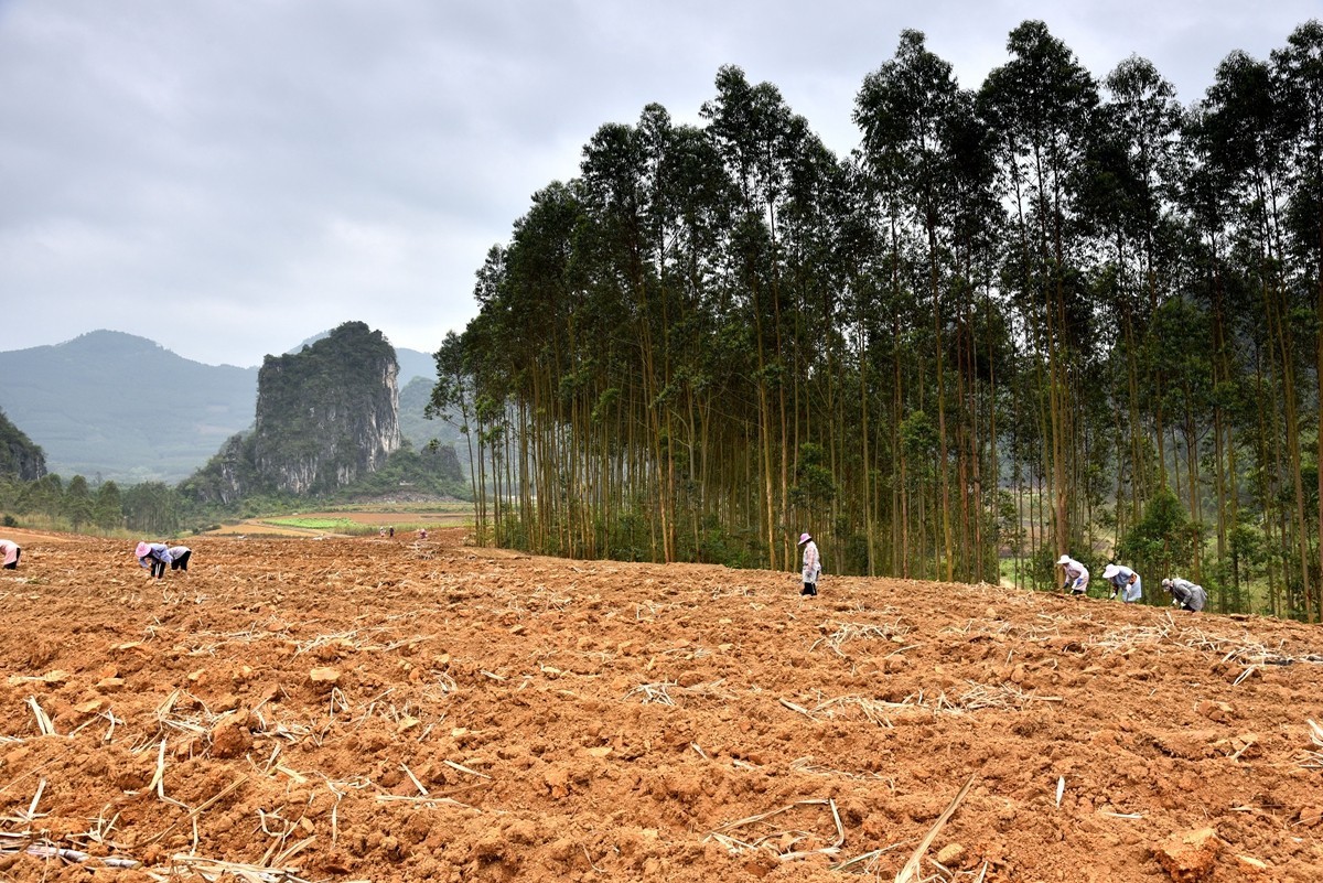 遇龙河至柳江路途随拍【2】
