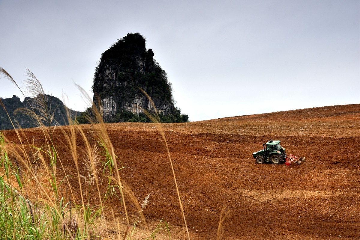 遇龙河至柳江路途随拍【2】