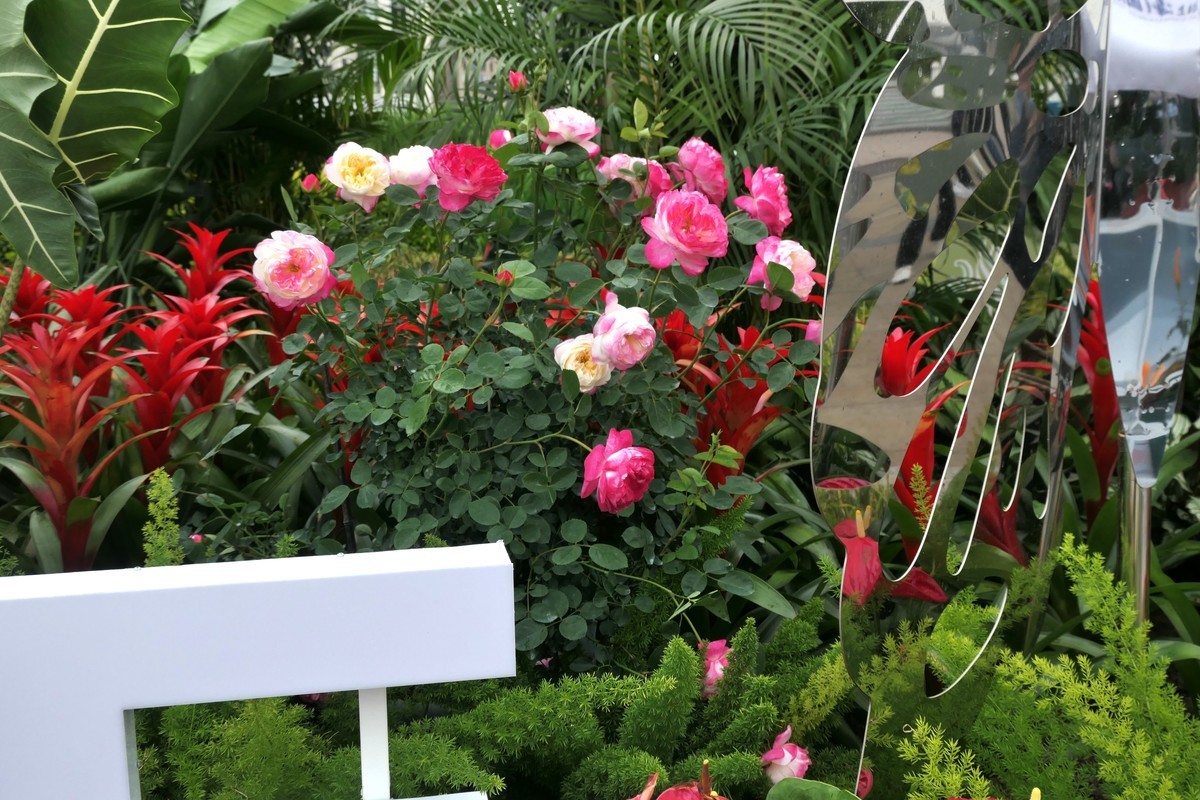 【上海国际花展(2)】——摄于徐汇滨江大道