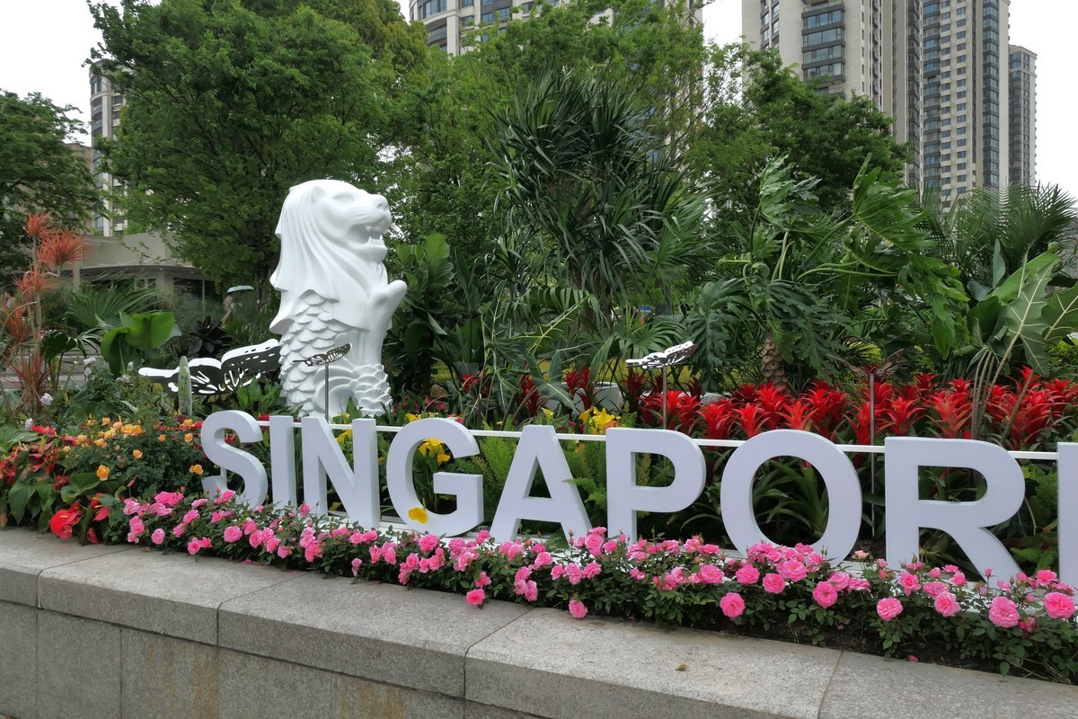 【上海国际花展(2)】——摄于徐汇滨江大道