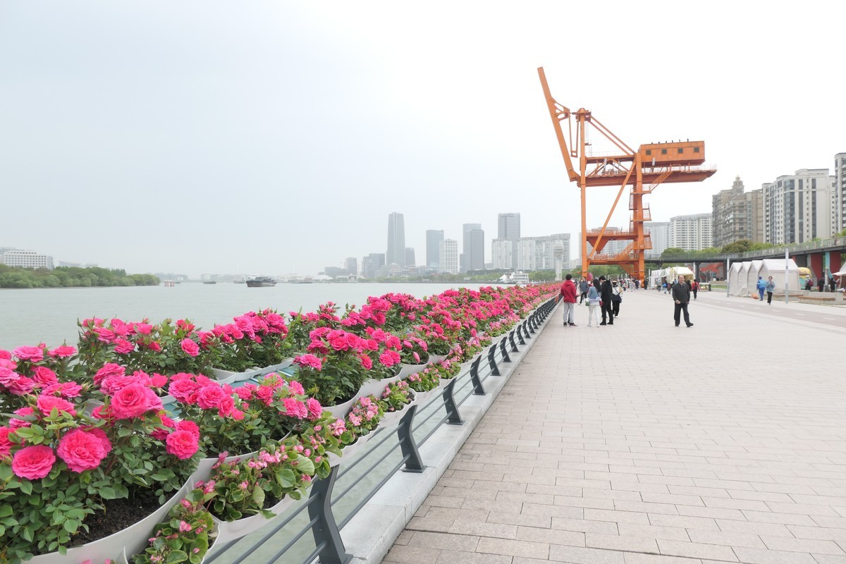 【上海国际花展(2)】——摄于徐汇滨江大道