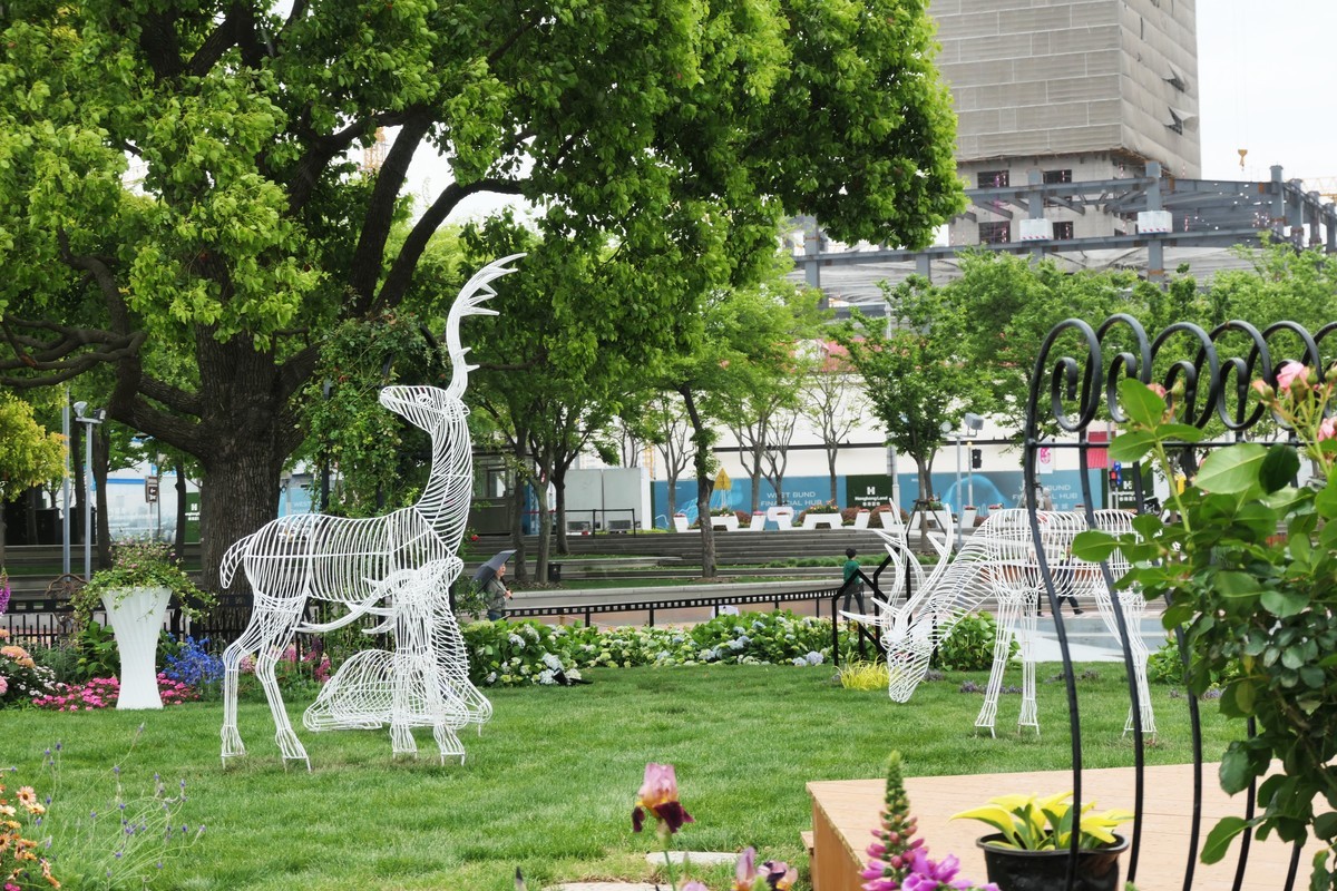 【上海国际花展(2)】——摄于徐汇滨江大道