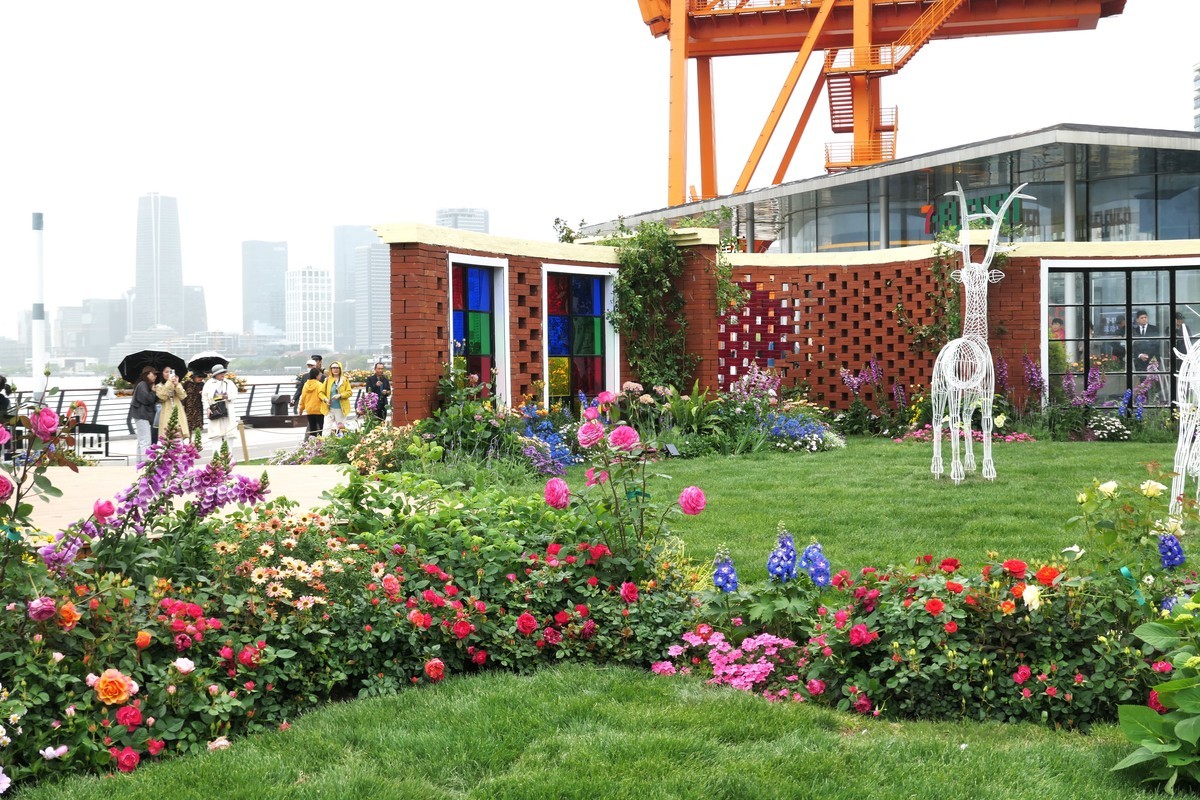 【上海国际花展(2)】——摄于徐汇滨江大道