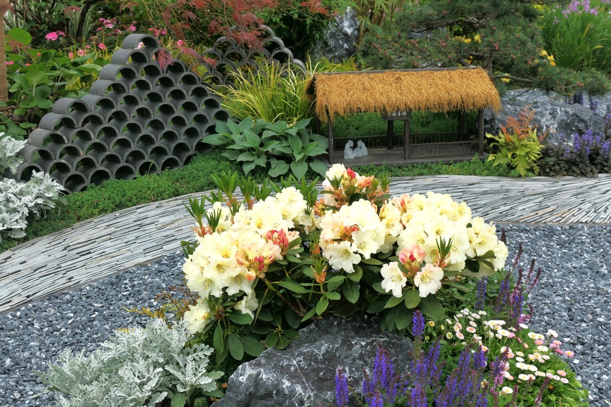 【上海国际花展(2)】——摄于徐汇滨江大道