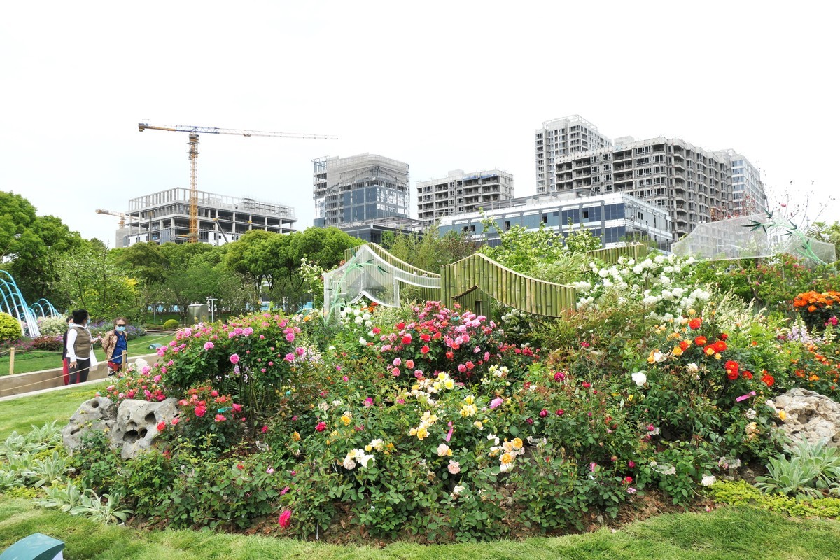 【上海国际花展(2)】——摄于徐汇滨江大道