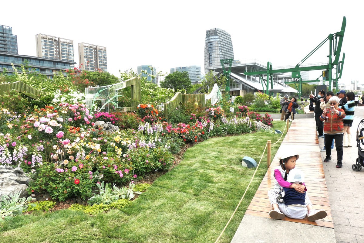 【上海国际花展(2)】——摄于徐汇滨江大道