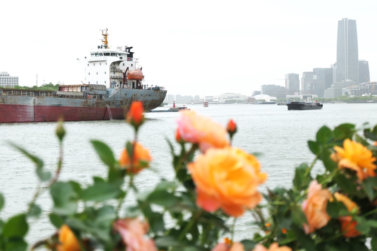 【上海国际花展(2)】——摄于徐汇滨江大道