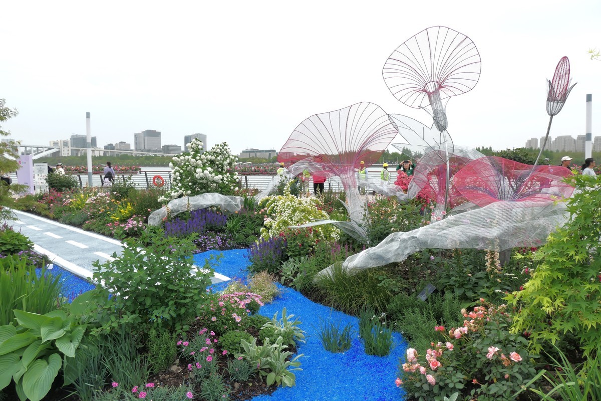 【上海国际花展(2)】——摄于徐汇滨江大道