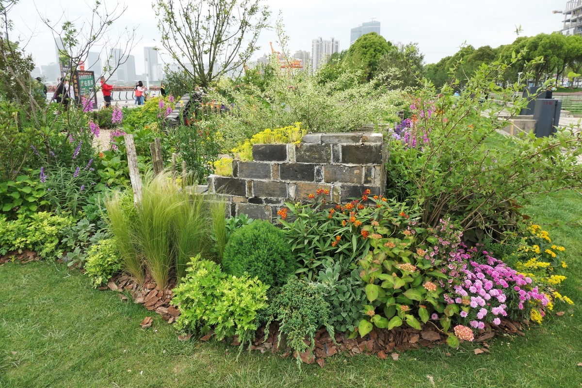 【上海国际花展(2)】——摄于徐汇滨江大道