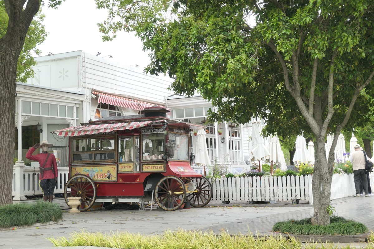 【上海国际花展(2)】——摄于徐汇滨江大道