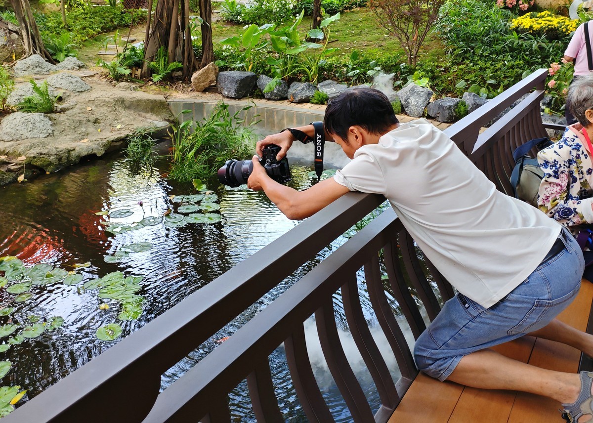 五仙观开放日。