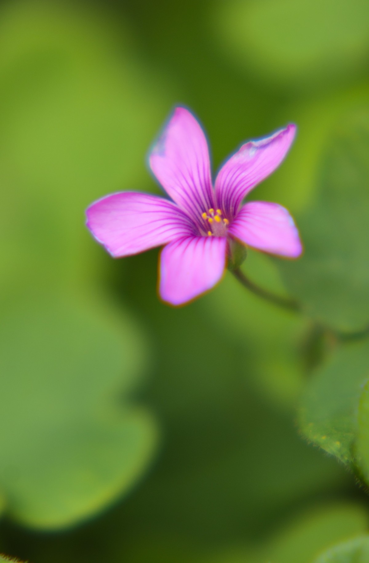 小区随拍小区小景