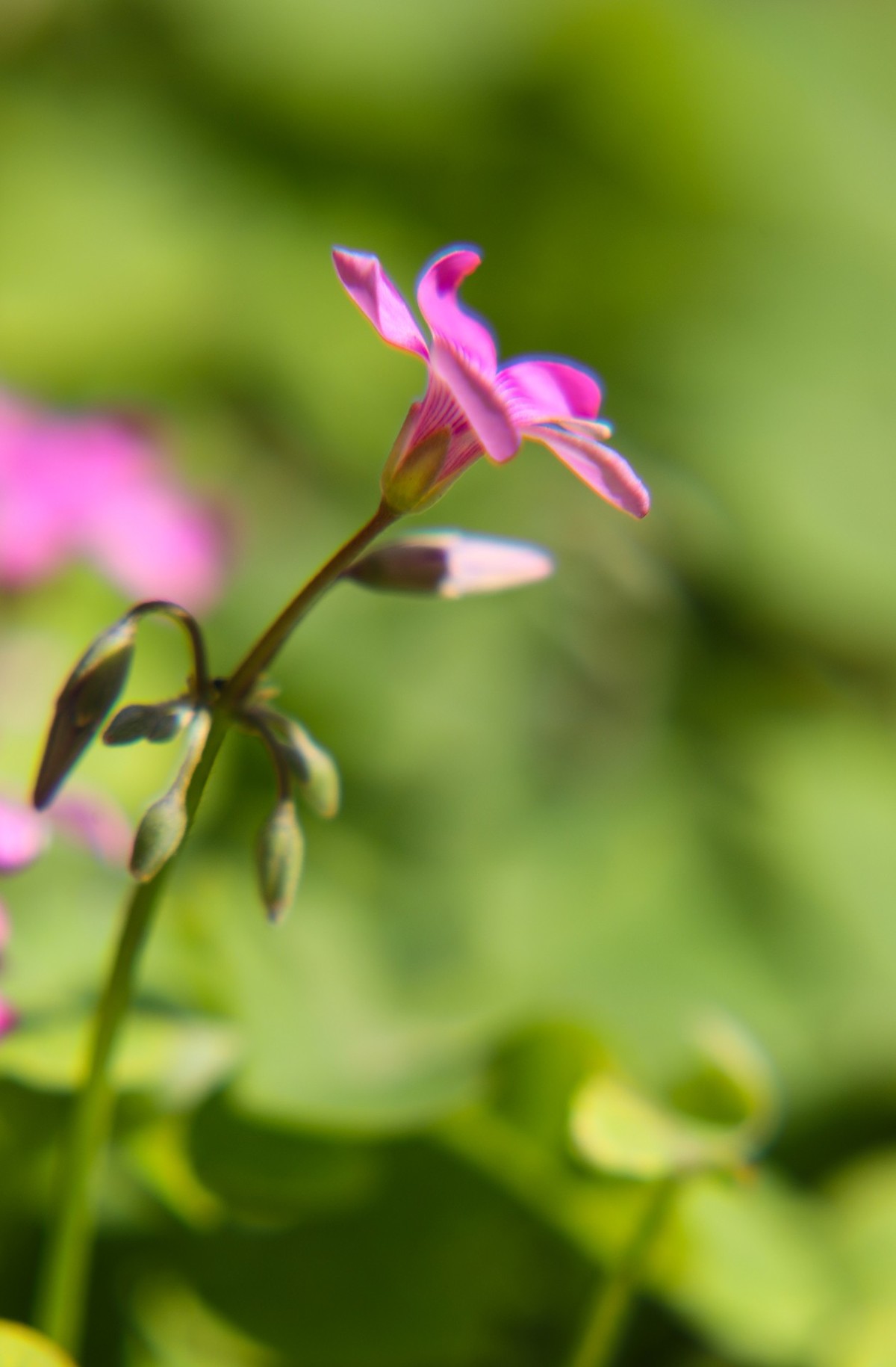 小区随拍小区小景