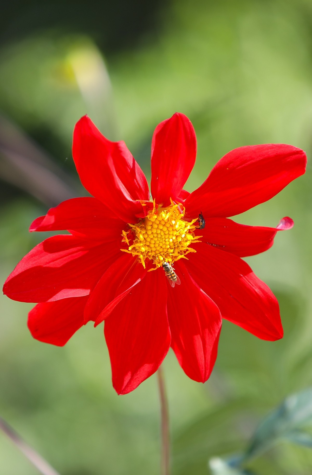 小区随拍小区小景