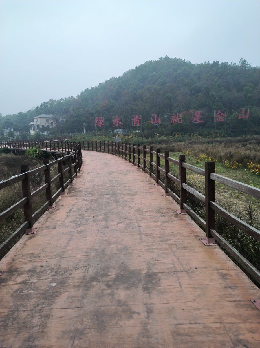 漫步星城 走街串巷（546）学士红桥