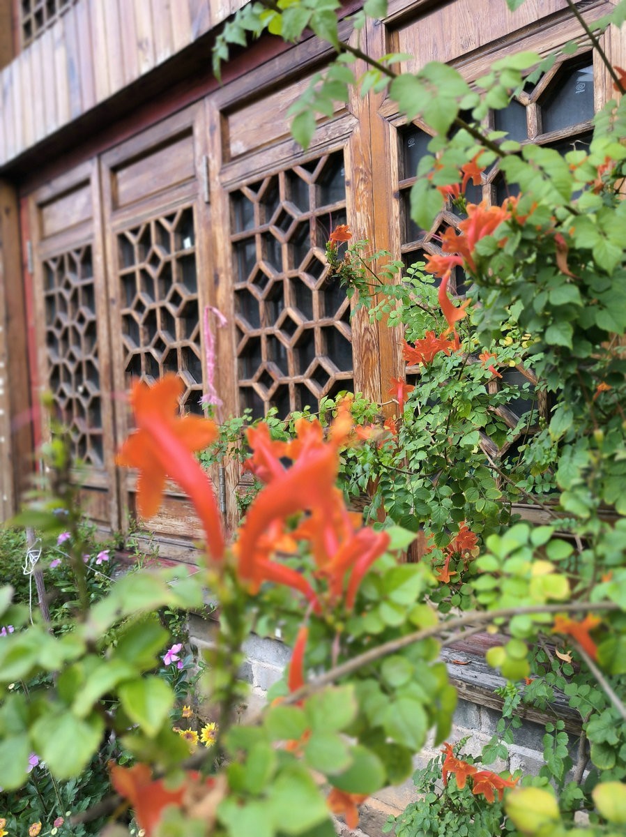 漫步星城 走街串巷（546）学士红桥