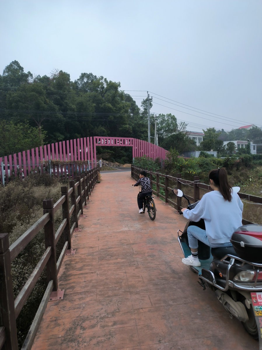 漫步星城 走街串巷（546）学士红桥