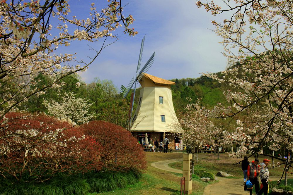 初春的太子湾公园