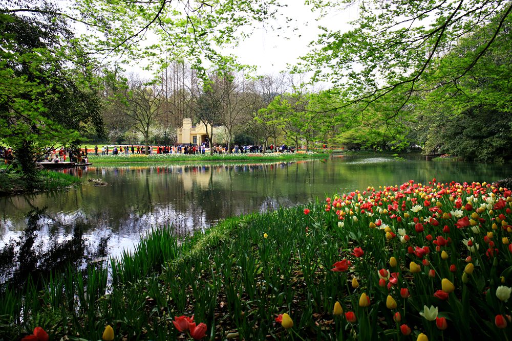 初春的太子湾公园