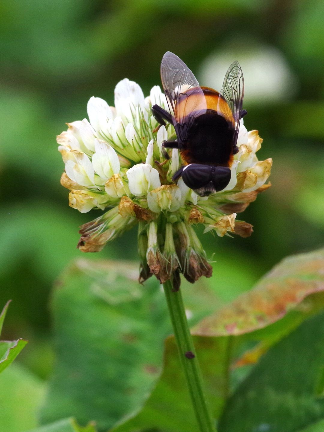 宾得K01+防水百微作品