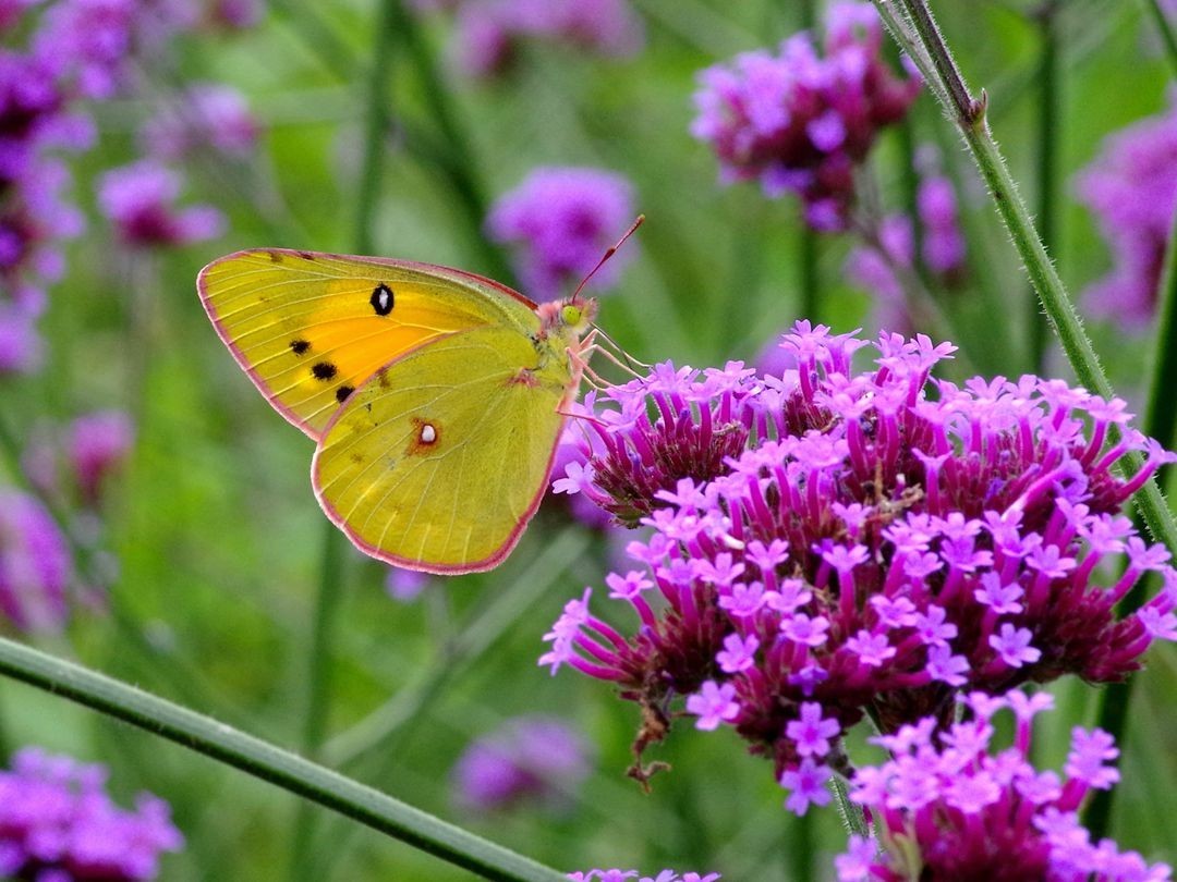 宾得K01+防水百微作品