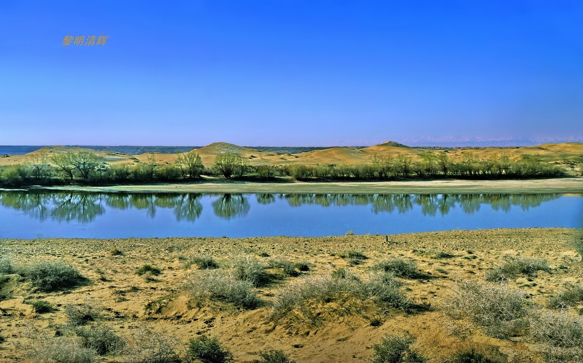 早春北疆之旅（51）：流经沙漠的额尔齐斯河