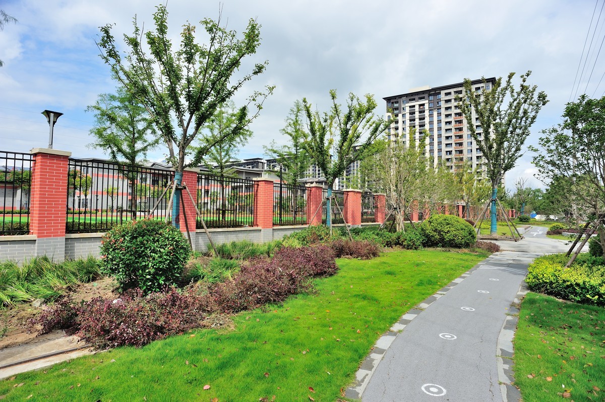 2023年国庆过后小区随拍