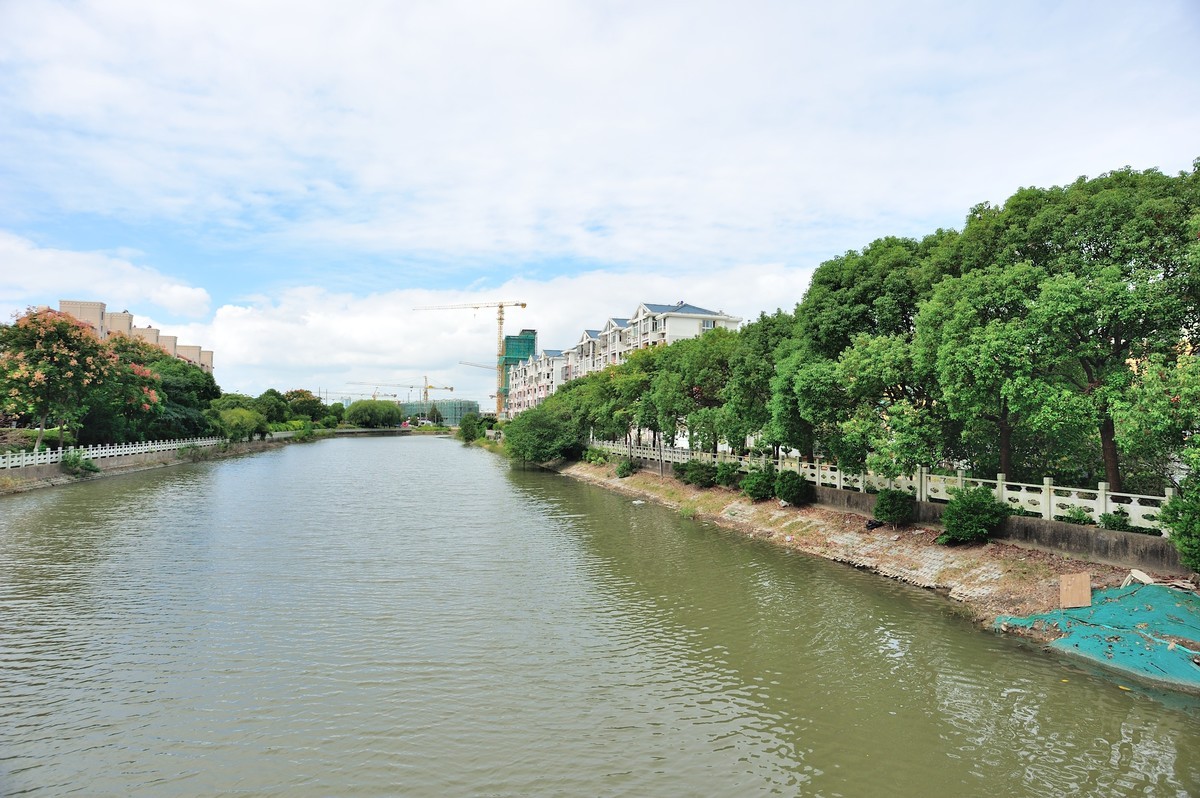 2023年国庆过后小区随拍