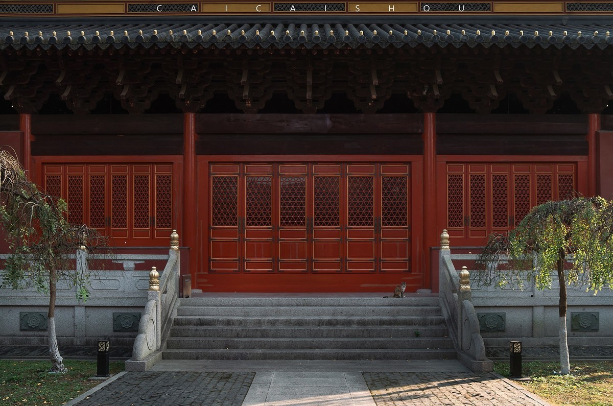 【菜々手摄影】徕卡卡片机记录秋天