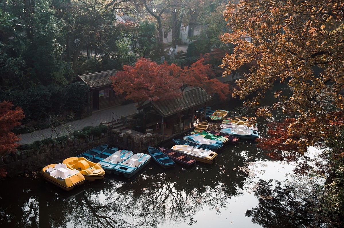 【菜々手摄影】徕卡卡片机记录秋天