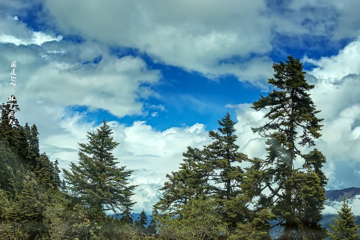 国道318 · 林芝风光