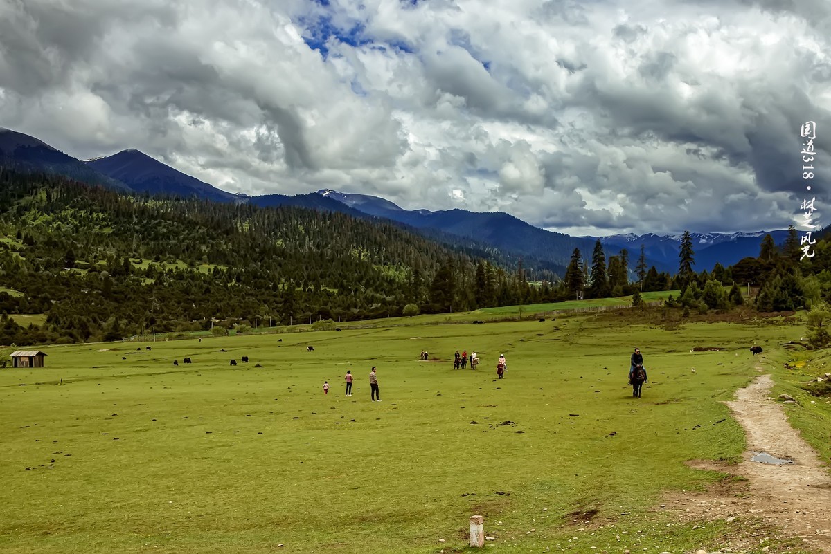 国道318 · 林芝风光