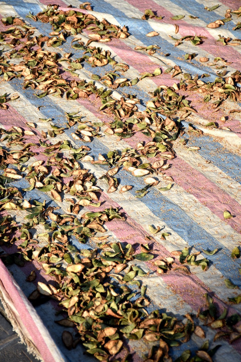 2024夏 海南环岛行（7）古韵之村的美丽