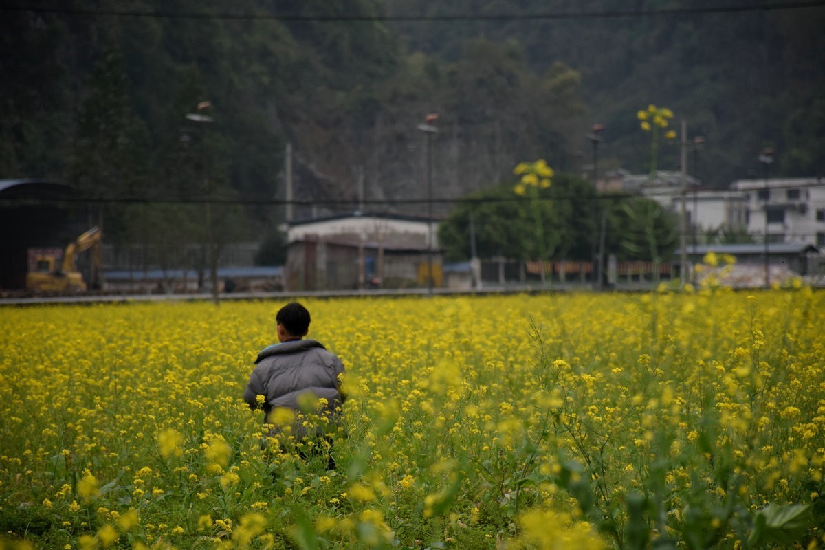 2024春节 滇桂沿边行（94）拔哥故里