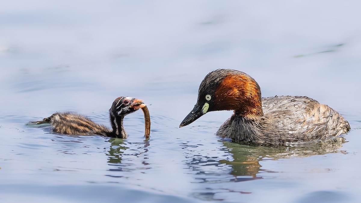 国庆将至，祝福老师们身体健康、天天开心、事事顺意！国庆快乐！
