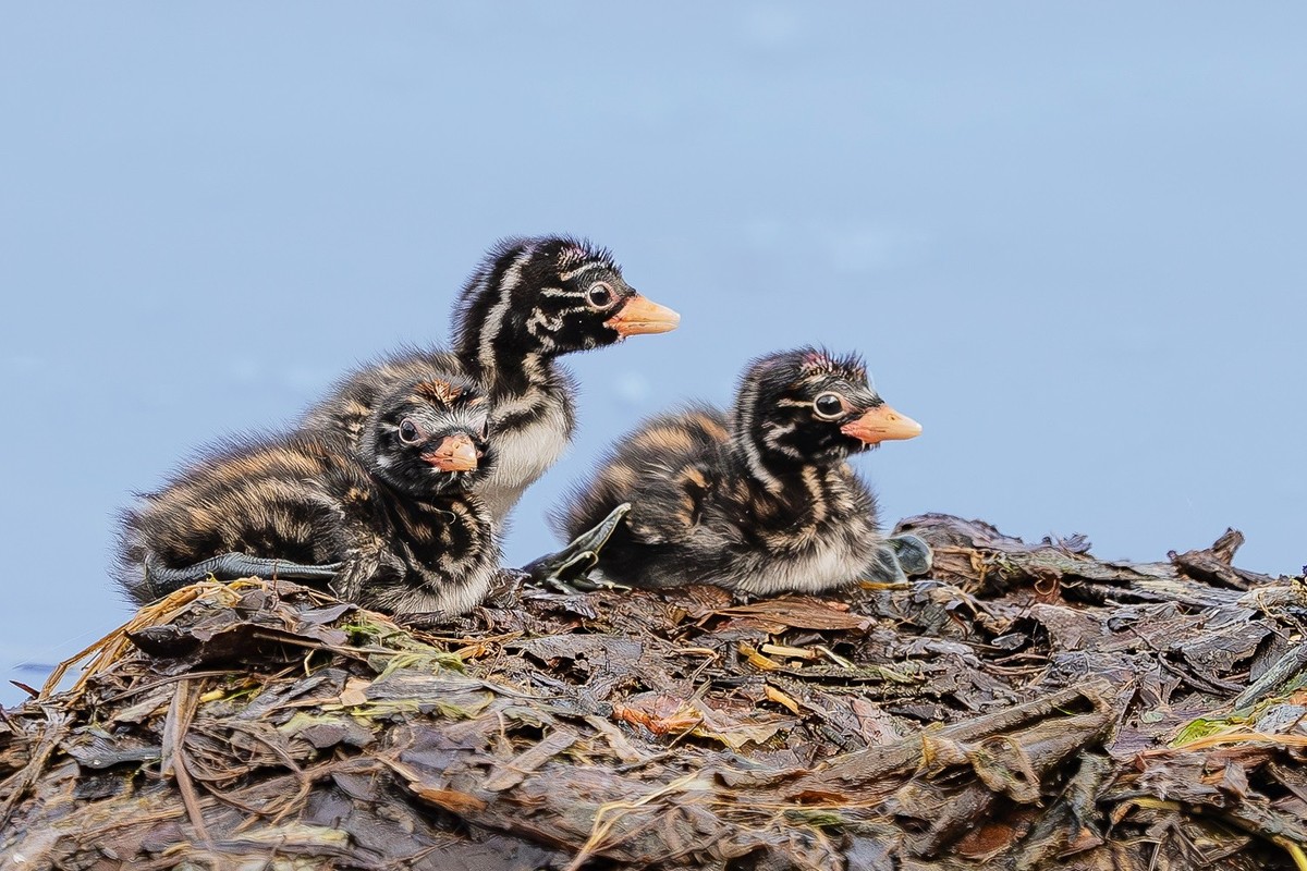 国庆将至，祝福老师们身体健康、天天开心、事事顺意！国庆快乐！