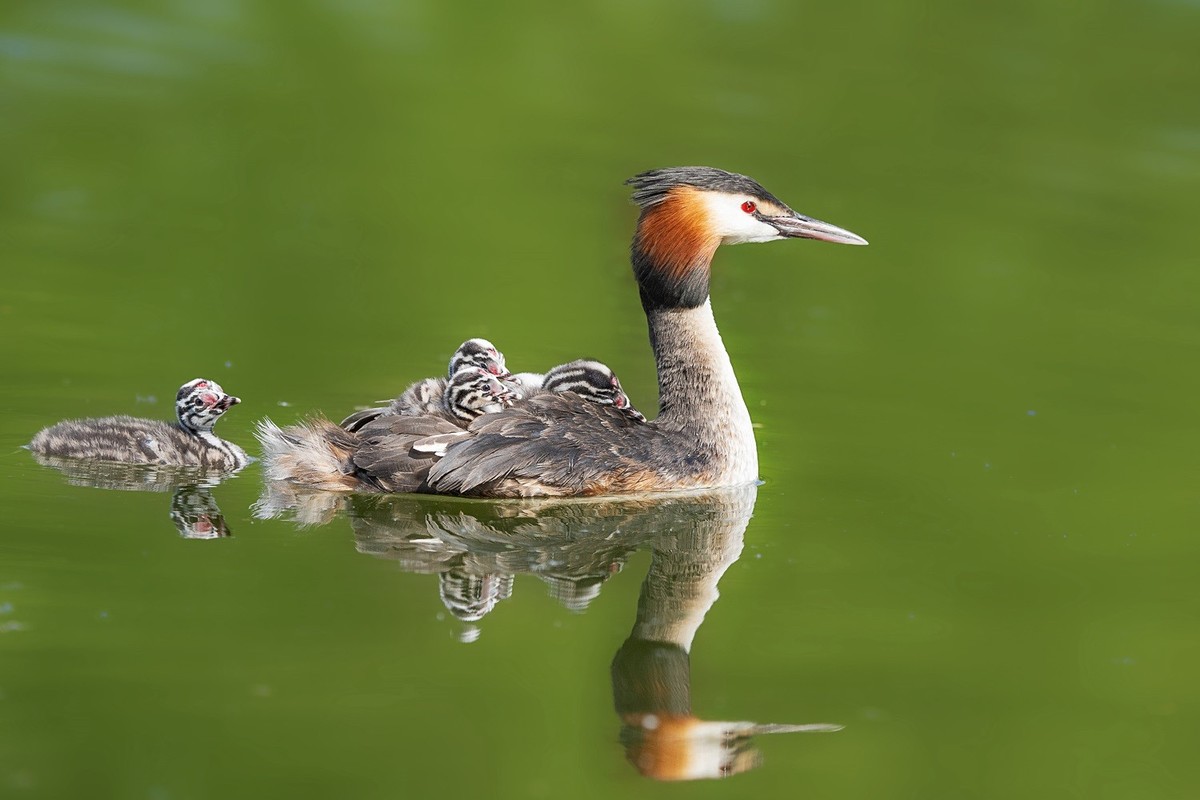 国庆将至，祝福老师们身体健康、天天开心、事事顺意！国庆快乐！