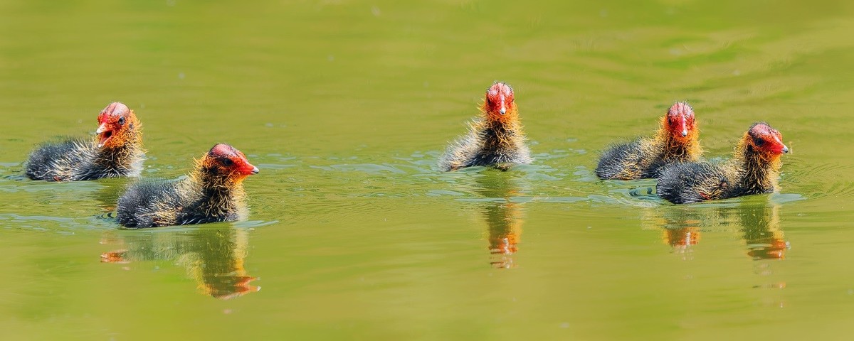 国庆将至，祝福老师们身体健康、天天开心、事事顺意！国庆快乐！