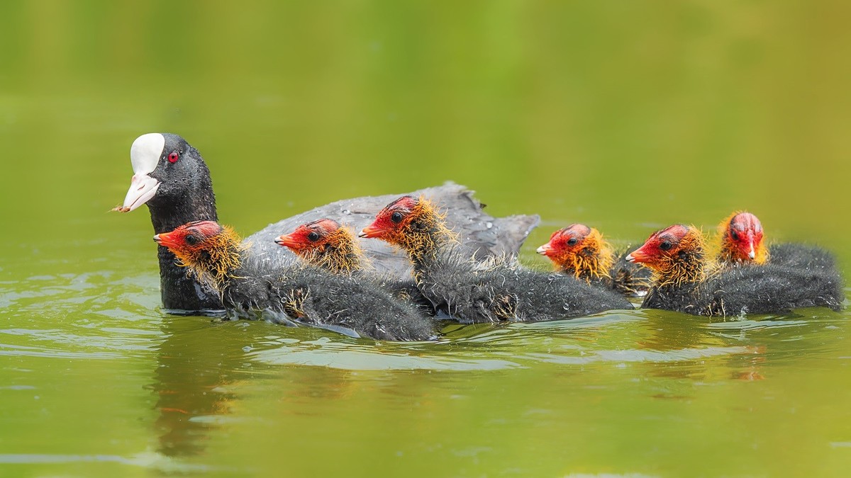 国庆将至，祝福老师们身体健康、天天开心、事事顺意！国庆快乐！